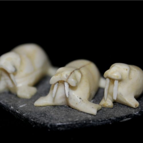 Inuit Carving of Three Walrusses by Davidee Irqumiak