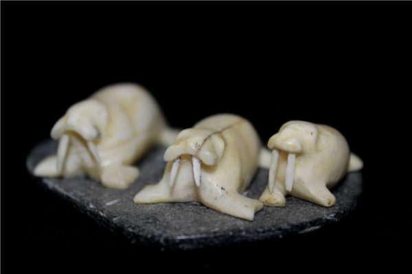 Inuit Carving of Three Walrusses by Davidee Irqumiak