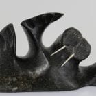 Wonderful Walrus carved by Inuit artist Willie Tertiluk