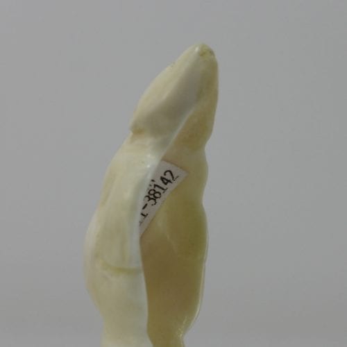 Tiny treasure, a hollow Inuit art carving of an ivory bear by Johnny Amittuk