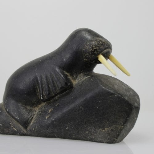 Walrus with ivory tusks by an unknown Inuit artist