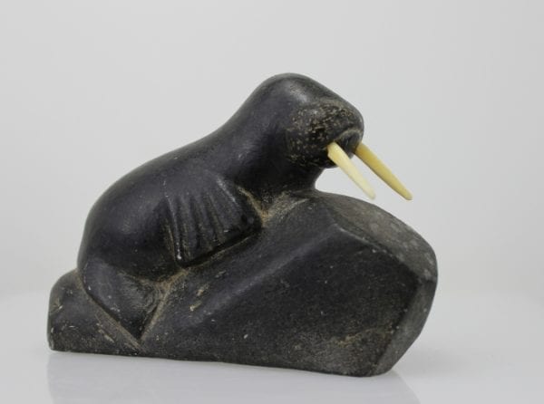 Walrus with ivory tusks by an unknown Inuit artist