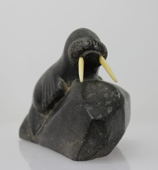 Walrus with ivory tusks by an unknown Inuit artist