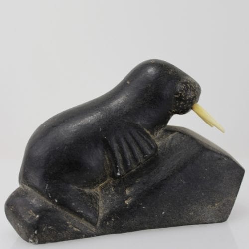 Walrus with ivory tusks by an unknown Inuit artist