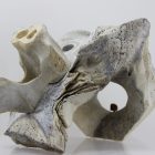 Abstract whalebone carving by an unknown Inuit artist