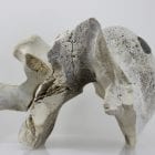 Abstract whalebone carving by an unknown Inuit artist