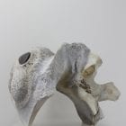 Abstract whalebone carving by an unknown Inuit artist