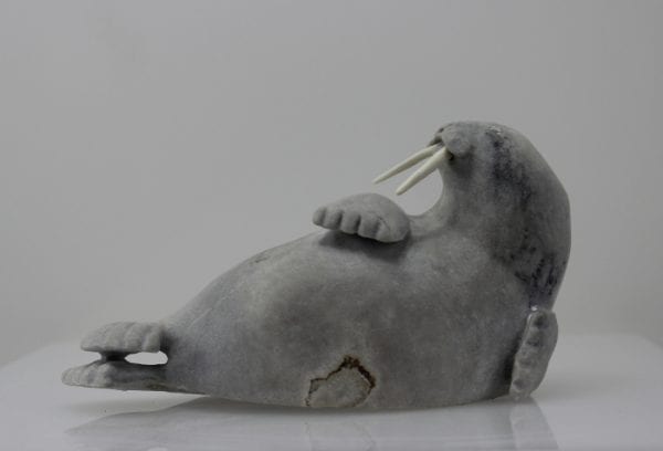 Stunning grey walrus carved by Bart Hanna