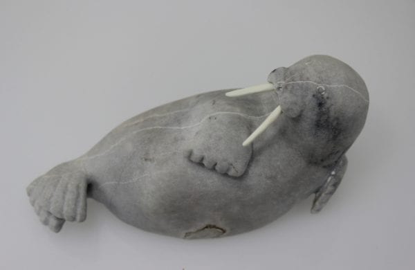 Stunning grey walrus carved by Bart Hanna