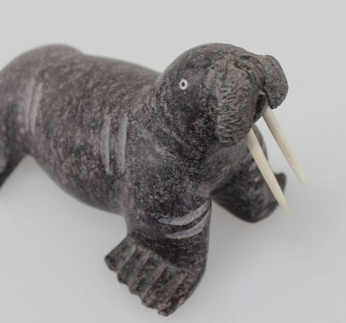 Wonderful walrus carved by well known Inuit artist Daniel Shimout.