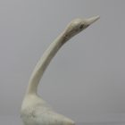 Goose by Parr Parr from Cape Dorset