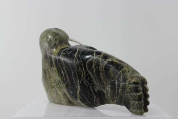 Walrus by Kridluar from Cape Dorset