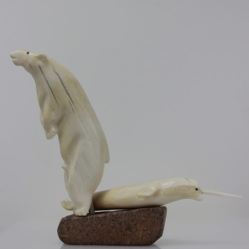 Polar Bear and Narwhal by Timothy Jar from Corral Harbor