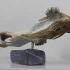 Walrus by Timothy Jar from Sallit/Coral Harbour carved in Whalebone