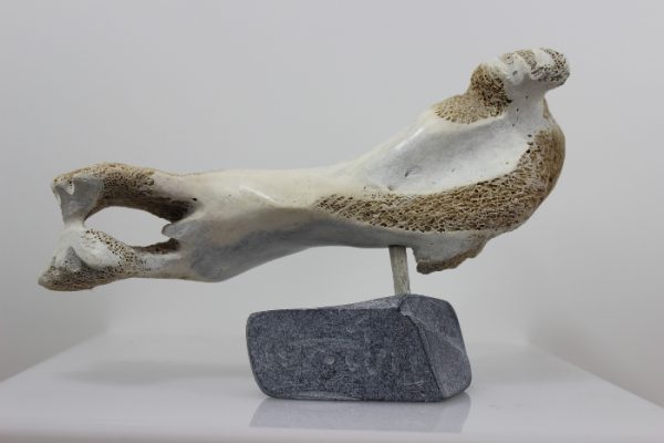 Walrus by Timothy Jar from Sallit/Coral Harbour carved in Whalebone