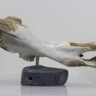 Walrus by Timothy Jar from Sallit/Coral Harbour carved in Whalebone