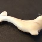 Ivory Whale Pendant by Johnny Amittuk from Akulivik