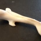 Ivory Whale Pendant by Johnny Amittuk from Akulivik