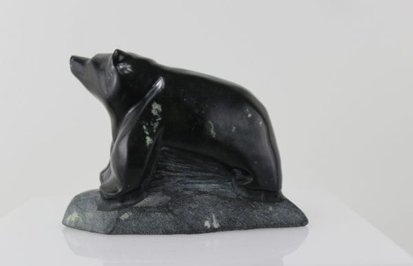 Bear by David Millie from Hopedale, Nunatsiavut