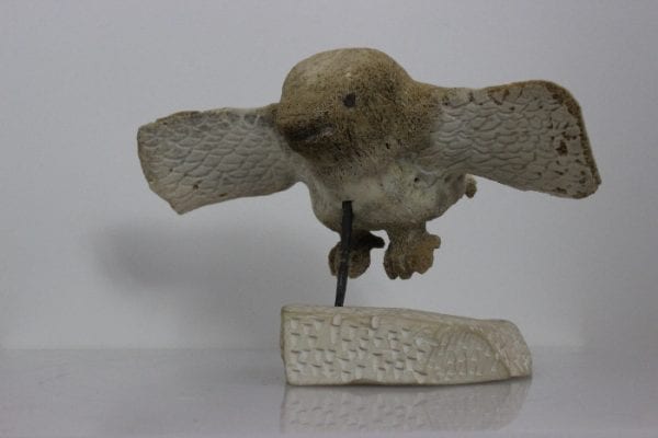 Bird by Unidentified Carver from Cape Dorset - Kinngait