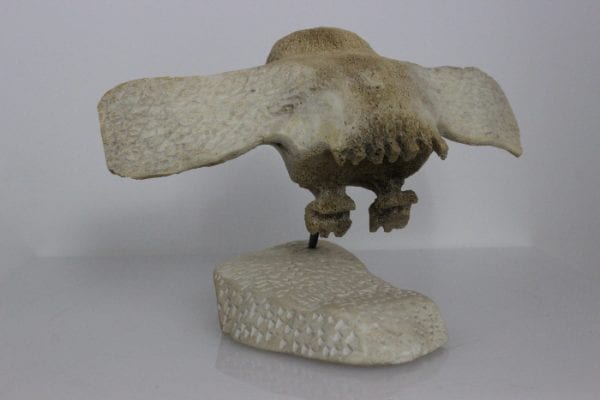 Bird by Unidentified Carver from Cape Dorset - Kinngait