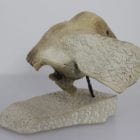 Bird by Unidentified Carver from Cape Dorset - Kinngait