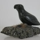 Bird on Nest by Adla Korgak from Iqaluit - Frobisher Bay