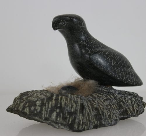 Bird on Nest by Adla Korgak from Iqaluit - Frobisher Bay