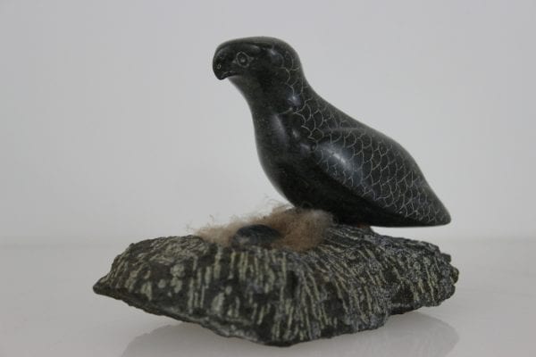 Bird on Nest by Adla Korgak from Iqaluit - Frobisher Bay