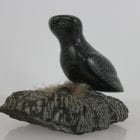 Bird on Nest by Adla Korgak from Iqaluit - Frobisher Bay