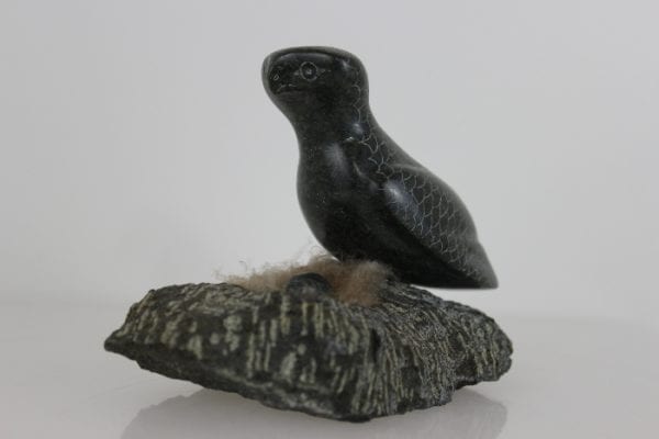 Bird on Nest by Adla Korgak from Iqaluit - Frobisher Bay