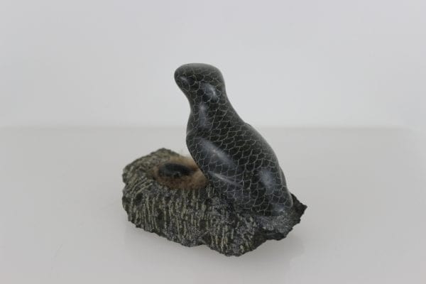 Bird on Nest by Adla Korgak from Iqaluit - Frobisher Bay