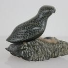 Bird on Nest by Adla Korgak from Iqaluit - Frobisher Bay