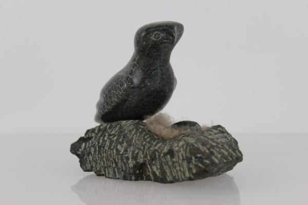 Bird on Nest by Adla Korgak from Iqaluit - Frobisher Bay