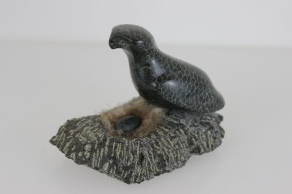 Bird on Nest by Adla Korgak from Iqaluit - Frobisher Bay