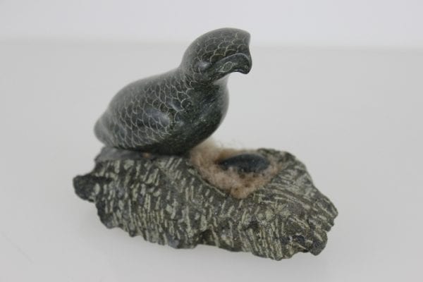 Bird on Nest by Adla Korgak from Iqaluit - Frobisher Bay