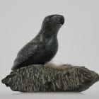 Bird on Nest by Adla Korgak from Iqaluit - Frobisher Bay