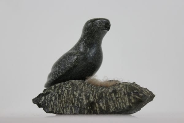 Bird on Nest by Adla Korgak from Iqaluit - Frobisher Bay