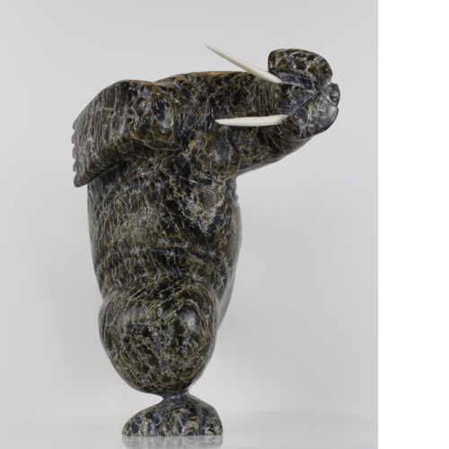 Dancing Walrus by Pits Qimirpik from Kinngait - Cape Dorset
