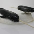 Narwhals by Pitseolak Qimirpik from Kinngait/Cape Dorset