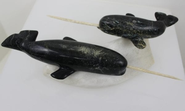 Narwhals by Pitseolak Qimirpik from Kinngait/Cape Dorset