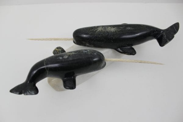 Narwhals by Pitseolak Qimirpik from Kinngait/Cape Dorset