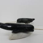 Narwhals by Pitseolak Qimirpik from Kinngait/Cape Dorset