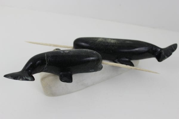 Narwhals by Pitseolak Qimirpik from Kinngait/Cape Dorset
