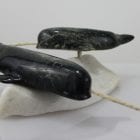 Narwhals by Pitseolak Qimirpik from Kinngait/Cape Dorset