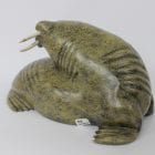 Walrus by Noah Jaw from Cape Dorset/Kinngait