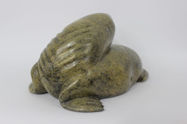 Walrus by Noah Jaw from Cape Dorset/Kinngait