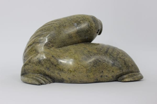 Walrus by Noah Jaw from Cape Dorset/Kinngait