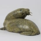 Walrus by Noah Jaw from Cape Dorset/Kinngait