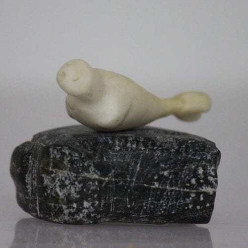 Ivory Seal by Unidentified